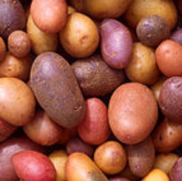 callmehpotato